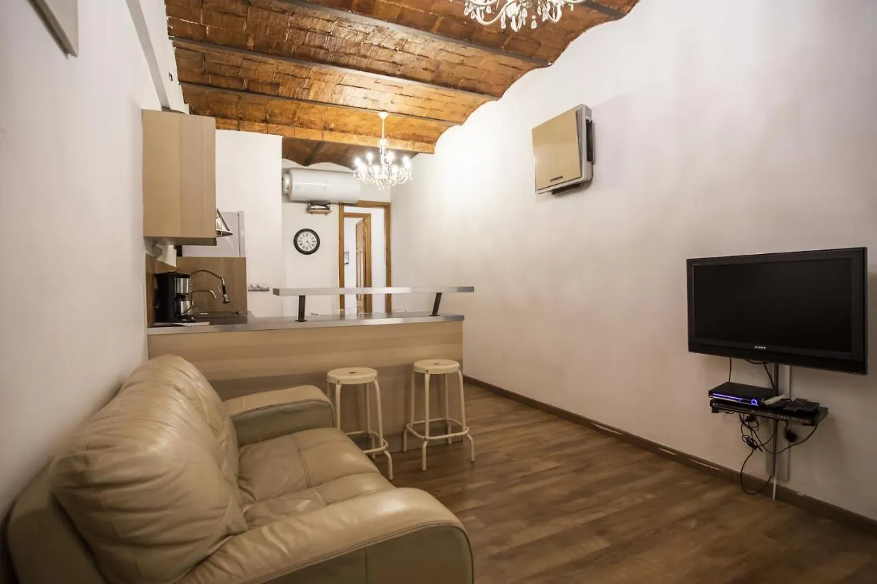 11Llan345 Spacious Apartment In Plaza Espanya Barcelona