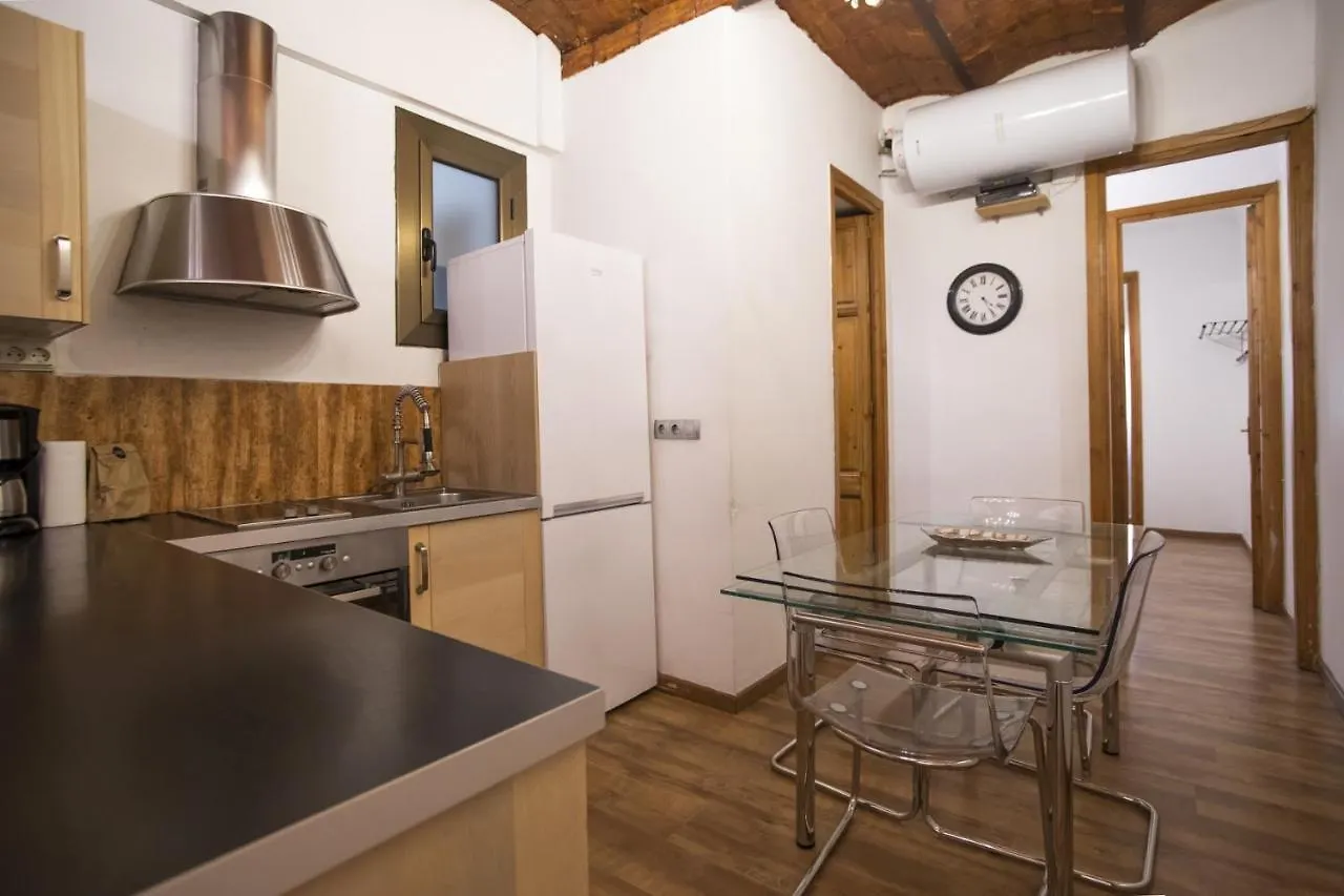 11Llan345 Spacious Apartment In Plaza Espanya Barcelona